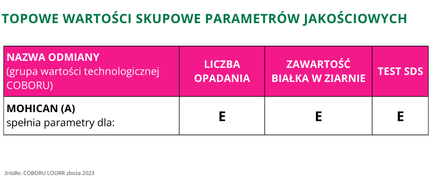 pszenica jara przewódkowa MOHICAN topowe wartości skupowe parametrów jakościowych