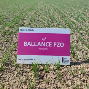 Ballance PZO