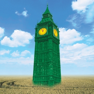 Pszenica ozima Big Ben