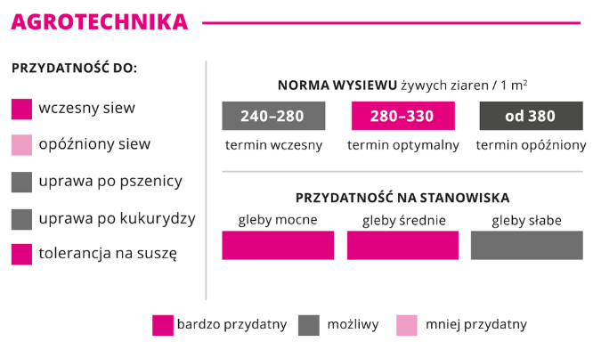 agrotechnika pszenica ozima Big Ben norma wysiewu
