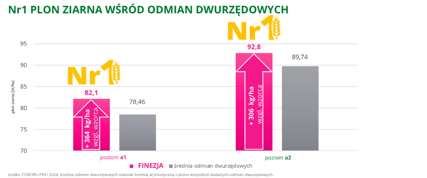 jęczmień ozimy Finezja Nr1 plon ziarna wśród odmian dwurzędowych COBORU PDO 2024