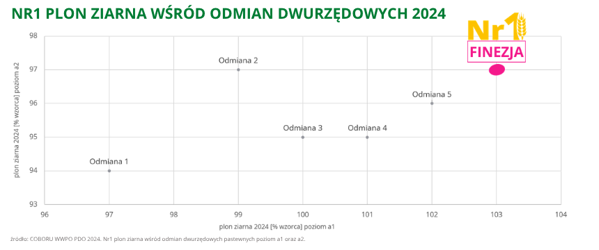 jęczmień ozimy Finezja to numer 1 w plonie ziarna wśród odmian dwurzędowych w roku 2024 coboru wwpo pdo