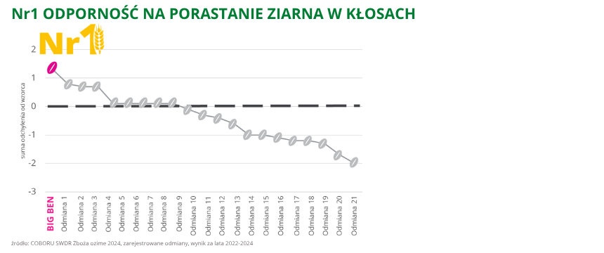 pszenica ozima Big Ben Nr1 odporność na porastanie ziarna w kłosach COBORU SWDR Zboża ozime 2024 zarejestrowane odmiany, wynik za lata 2022 2024