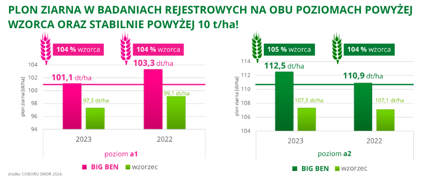 pszenica ozima Big Ben plon ziarna w badaniach rejestrowych na obu poziomach powyżej wzorca oraz stabilnie powyżej 10 t ha