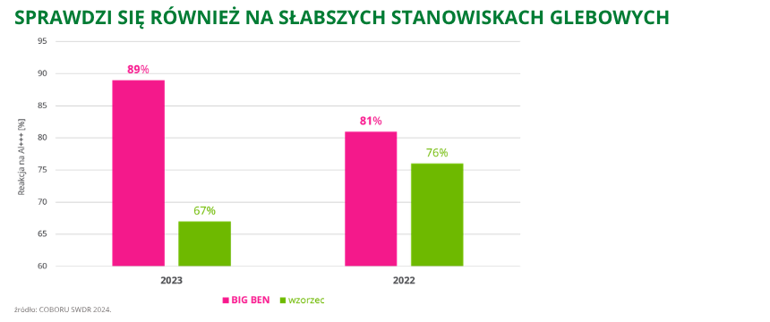 pszenica ozima Big Ben sprawdzi się również na słabszych stanowiskach glebowych COBORU SWDR 2024