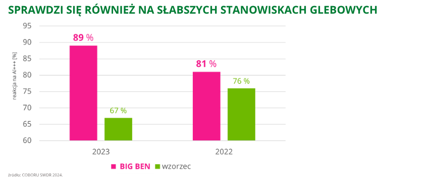 pszenica ozima Big Ben sprawdzi się również na słabszych stanowiskach glebowych