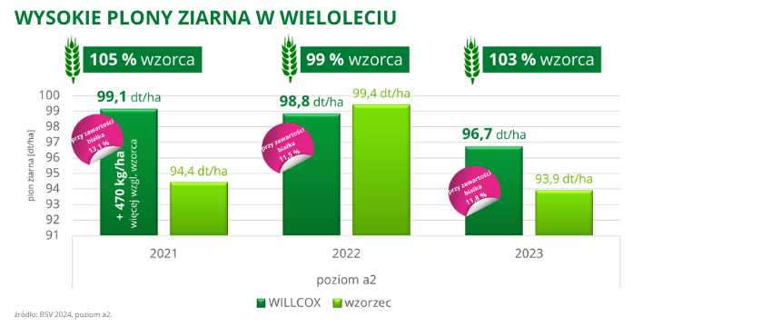 pszenica ozima Willcox wysokie plony ziarna w wieloleciu BSV 2024 poziom a2