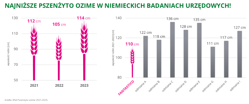 pszenżyto ozime Fantastico najniższe pszenżyto ozime w niemieckich badaniach urzędowych BSA 2021 2023