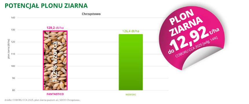 pszenżyto ozime Fantastico potencjał plonu ziarna coboru cca 2025