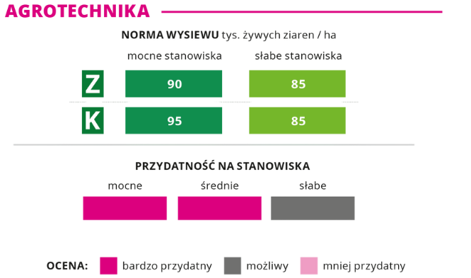 agrotechnika kukurydza Belenos norma wysiewu
