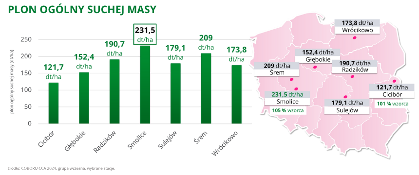 kukurydza Belenos plon ogólny suchej masy