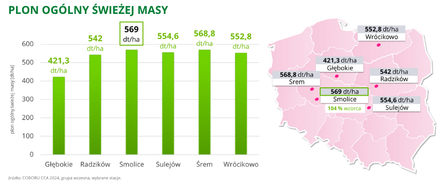 kukurydza Belenos plon ogólny świeżej masy