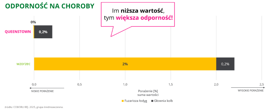 kukurydza Queenstown odporność na choroby COBORU REJ. 2025