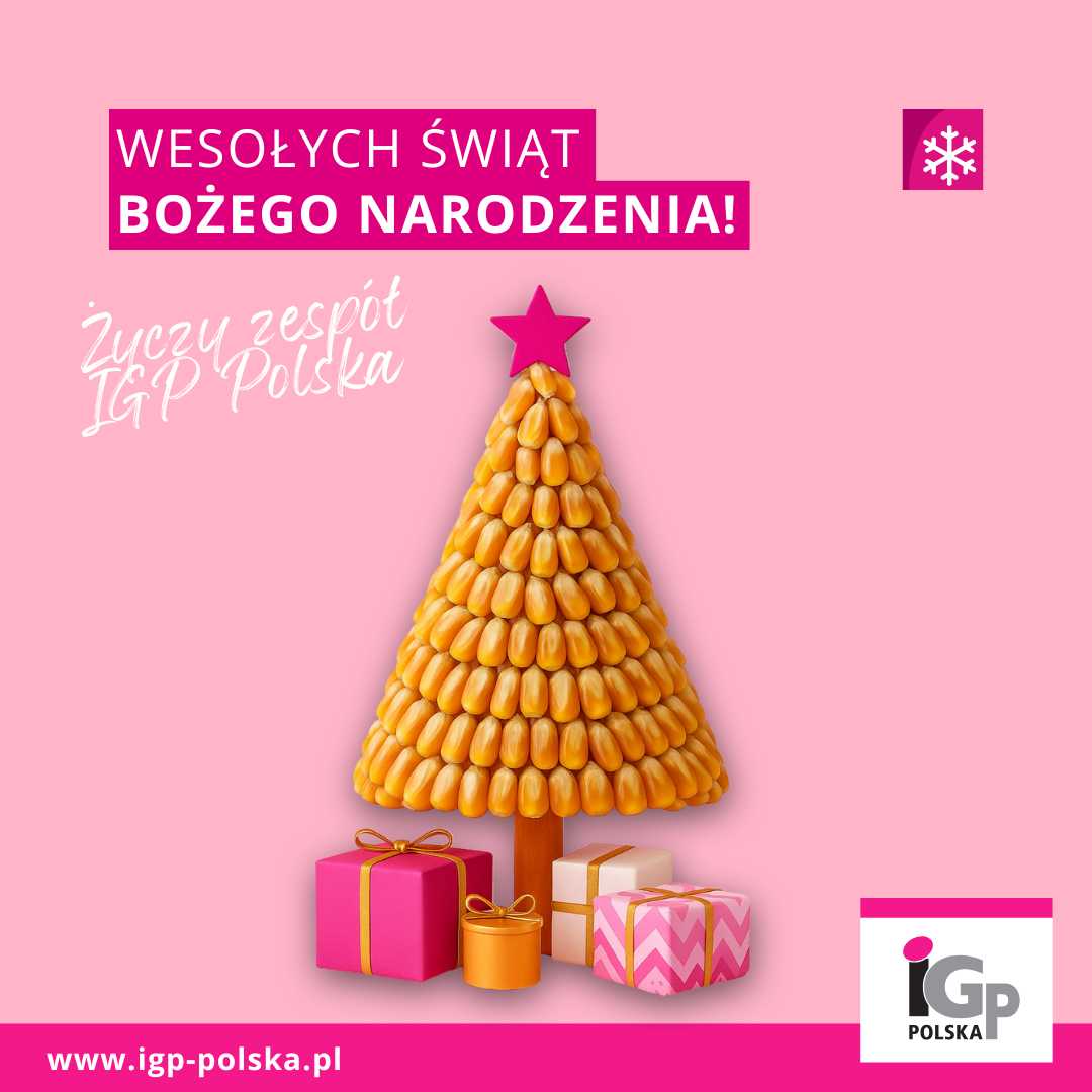Boże Narodzenie 25.12.2025