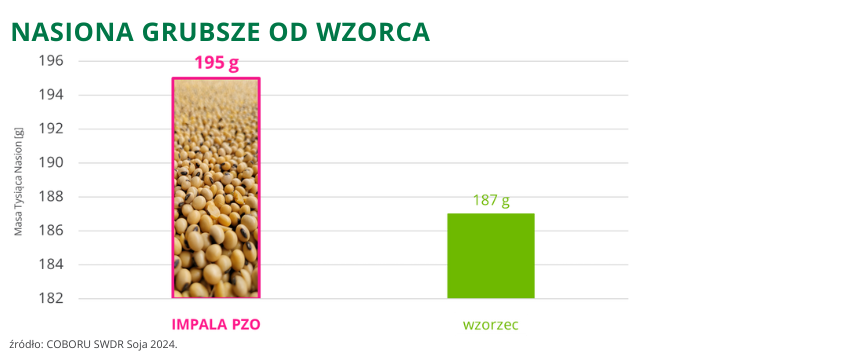 Soja Impala PZO nasiona grubsze od wzorca 195g COBORU SWDR 2024