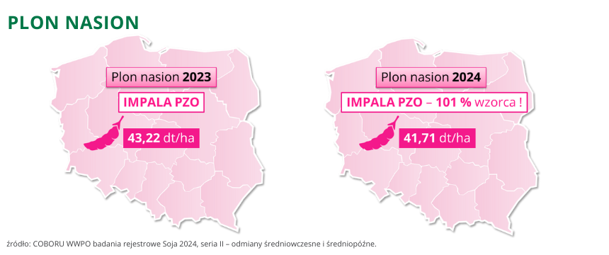 Soja Impala PZO plon nasion do 43,22 dt ha COBORU 2023