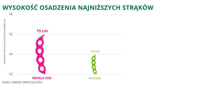 Soja Impala PZO wysokość osadzenia najniższych strąków 15cm COBORU SWDR 2024
