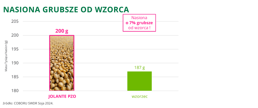 Soja Jolante PZO nasiona grubsze od wzorca o 7%, 200g COBORU SWDR 2024