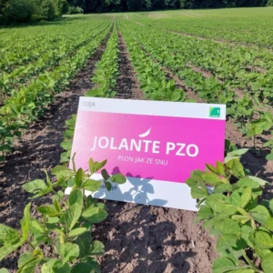 soja Jolante PZO IGP Polska