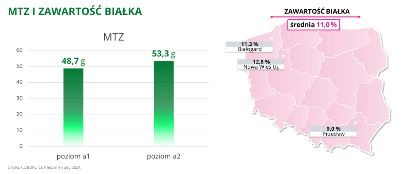 jeczmien jary Bountry mtz i zawartosc bialka