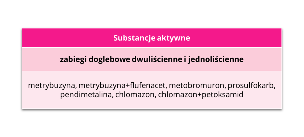 Substancje aktywne zabiegi doglebowe dwuliścienne i jednoliścienne soja IGP Polska