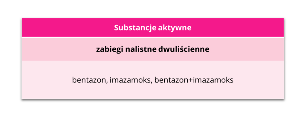 Substancje aktywne zabiegi nalistne dwuliścienne soja IGP Polska