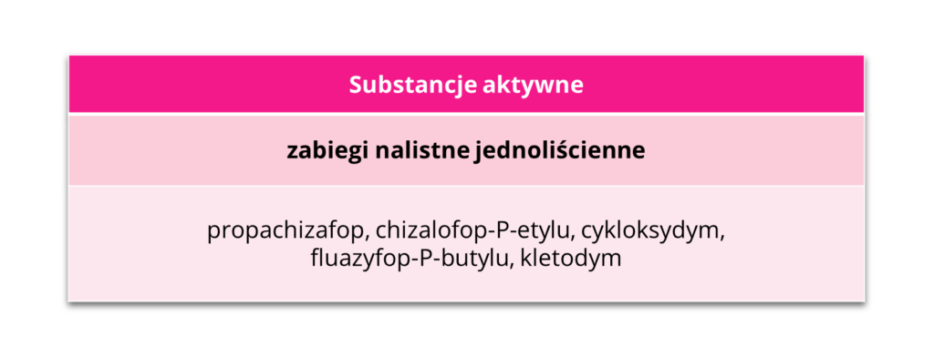 Substancje aktywne zabiegi nalistne jednoliścienne soja IGP Polska