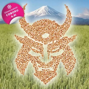 pszenica ozima Shogun IGP Polska