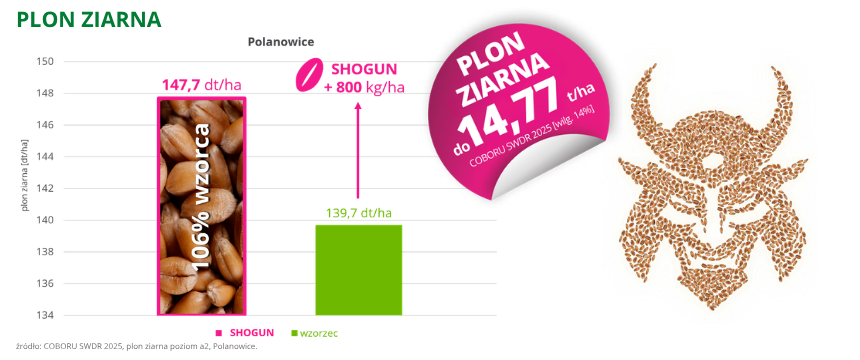 pszenica ozima Shogun plon ziarna do 14,77 t ha coboru swdr 2025