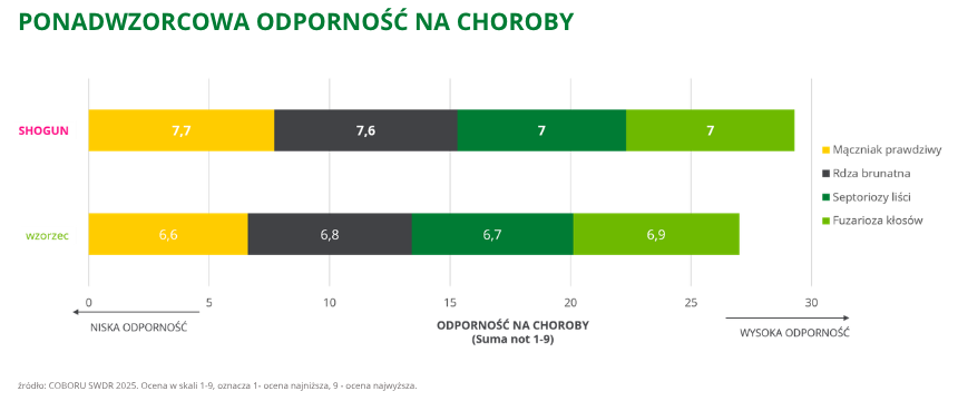 pszenica ozima Shogun ponadwzorcowa odporność na choroby coboru swdr 2025