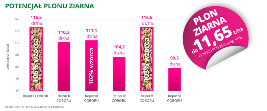 pszenżyto ozime Provato potencjał plonu ziarna do 11,65 t ha coboru pdo 2025