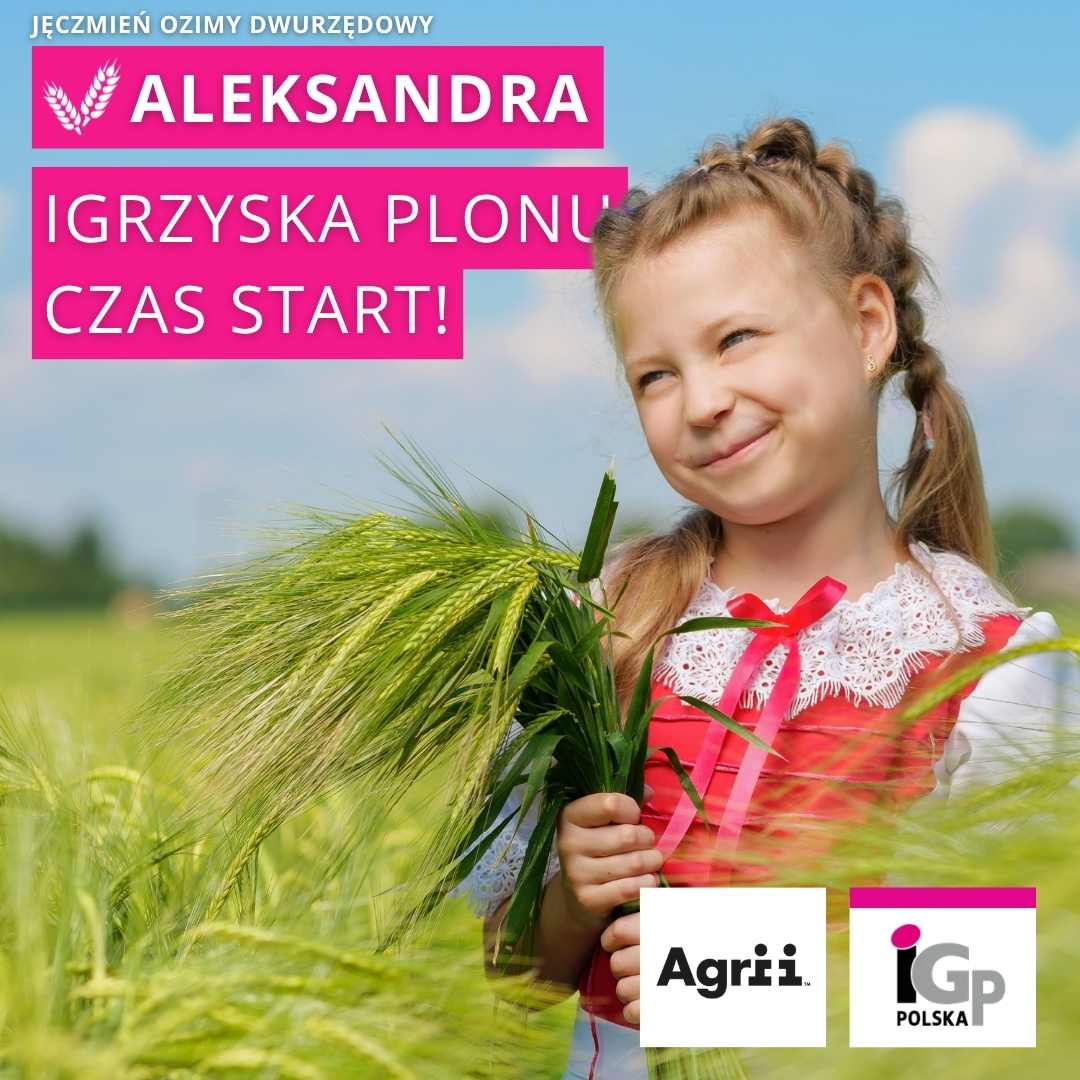 Igrzyska Plonu Aleksandra 2026 IV edycja