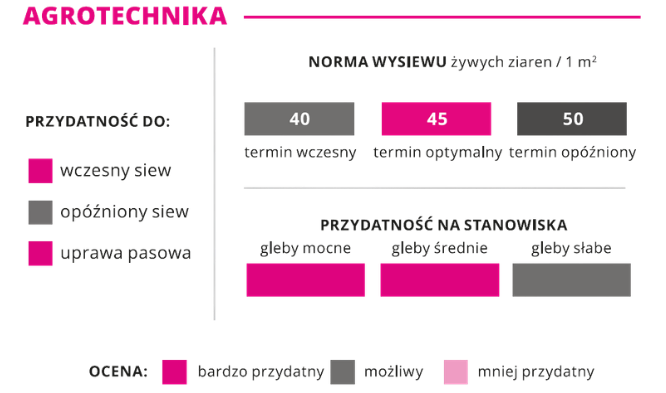 agrotechnika rzepak ozimy BINGO