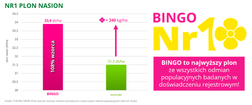rzepak ozimy bingo Nr1 plon nasion najwyższy plon ze wszystkich odmian populacyjnych badanych w doświadczeniu rejestrowym COBORU SWDR 2024