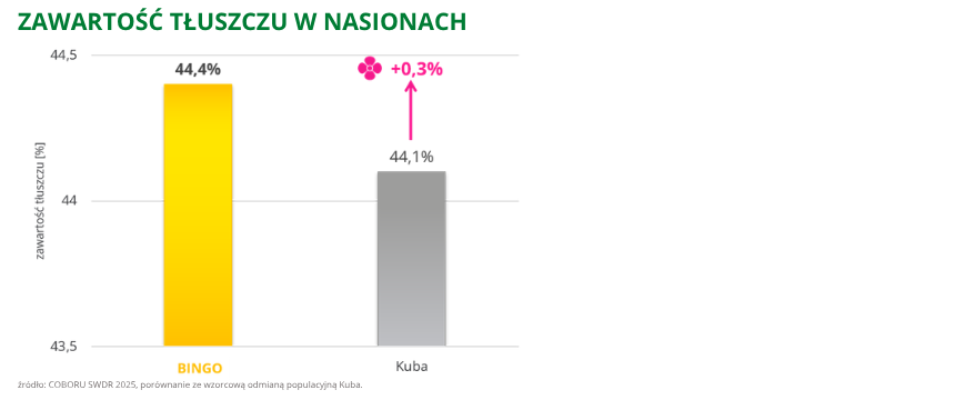 rzepak ozimy bingo zawartość tłuszczu w nasionach 44,4% COBORU SWDR 2025