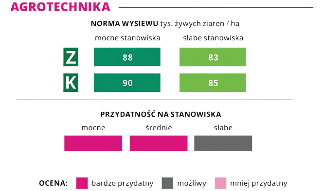 agrotechnika kukurydza Zigoto